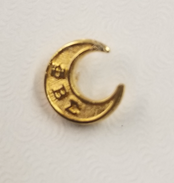 Crescent Pin